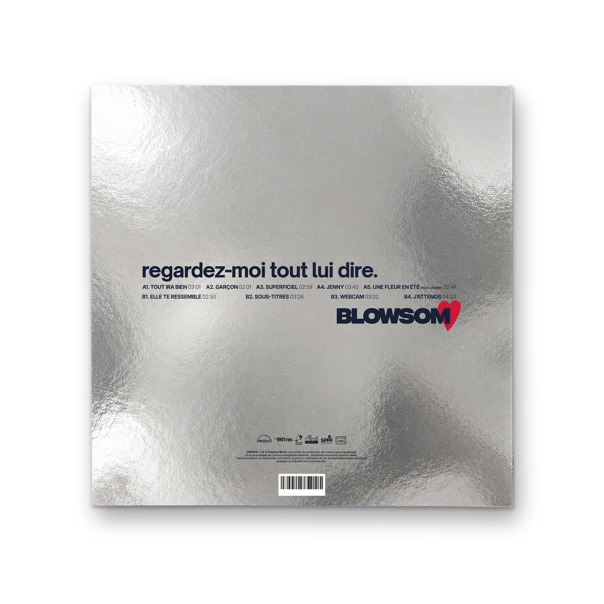 Fourreau argent du vinyle, dos