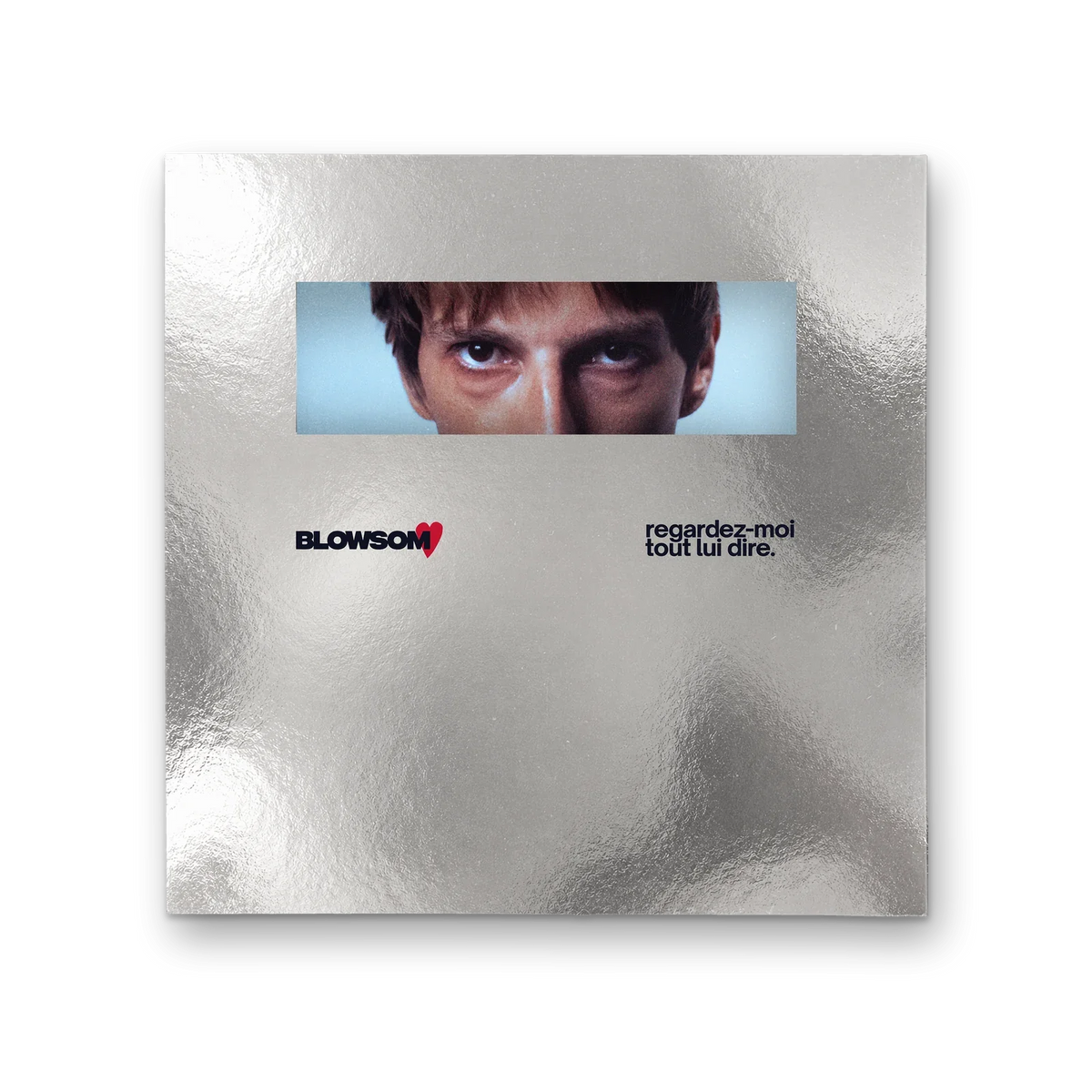 Fourreau argent du vinyle, face
